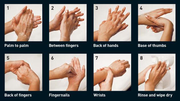 Hand Hygiene | University Hospital of the West Indies